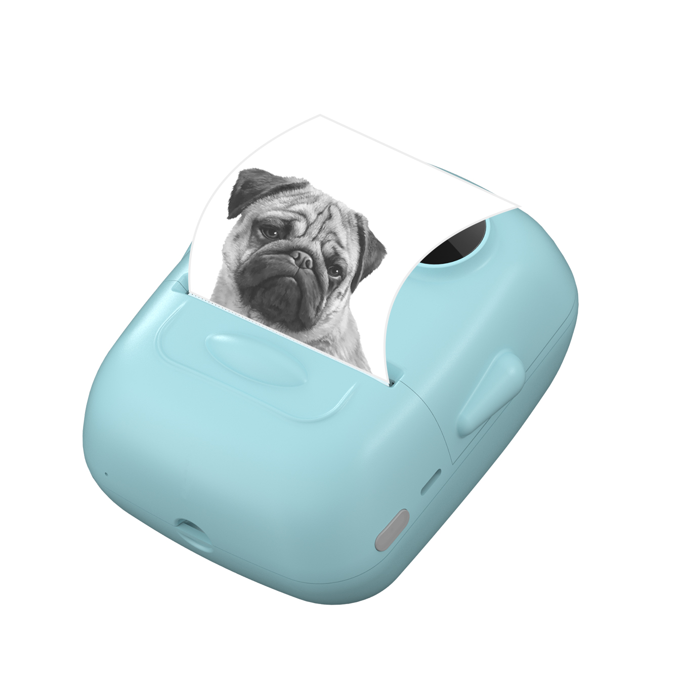 Image module